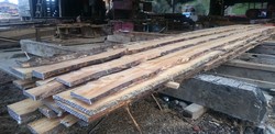 Rough-sawn C ovensii boards 2020